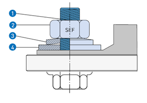 ecosyn SEF drawing